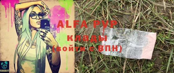 стафф Щигры