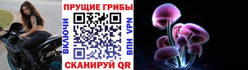Псилоцибиновые грибы Psilocybine cubensis Великие Луки
