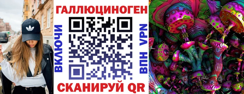 площадка телеграм  Великие Луки  Псилоцибиновые грибы Psilocybe 