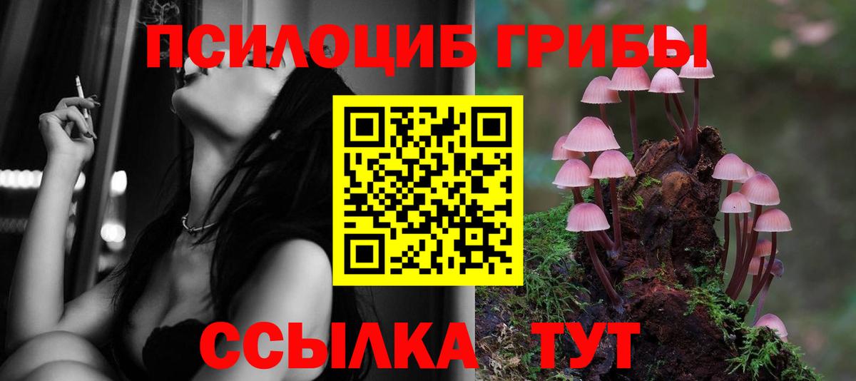 Псилоцибиновые грибы мухоморы Великие Луки